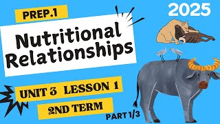 Nutritional Relationships in Biological Communities | Prep.1 | Unit 3 - Lesson 1 | Science 1/3