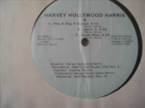Harvey Hollywood Harris Was A Dog A Dounut