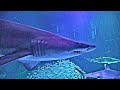 Georgia Aquarium | Shark! | Ocean Voyager | Cold Water Quest | River Scout | Whale Shark, Manta Ray