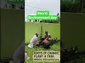 world Environmentday 2026#WorldEnvironmentDay #GreenAssam #PlantATree #Matia #NatureLovers"