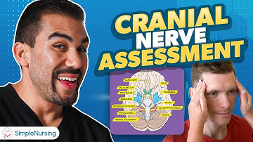 Cranial Nerve Assessment for Nurses | Neurological Health Assessment