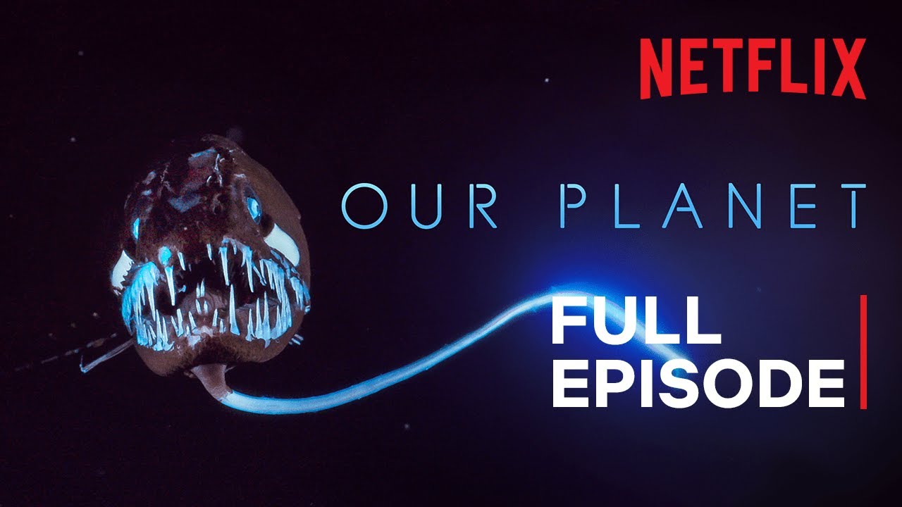 Our Planet  High Seas  FULL EPISODE  Netflix