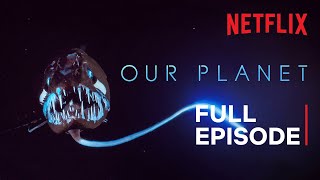 Our Planet | High Seas | FULL EPISODE | Netflix screenshot 1