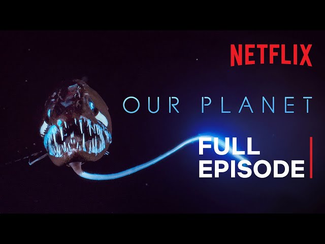 Our Planet | High Seas | FULL EPISODE | Netflix class=