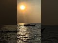 Sunset of Java Sea Indonesia