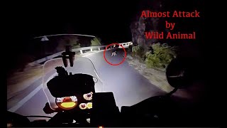 Wild Animal Attack while Jungle Night Riding in Uttarakhand