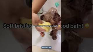 Best Pet Bath Gloves for Dogs & Cats - Shampoo Dispenser Grooming