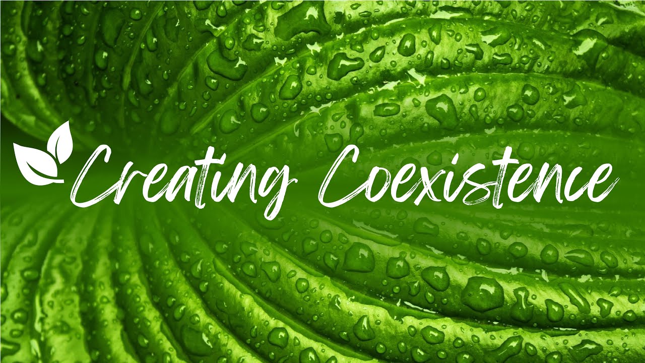 Without Coexistence we Will Codestruct. The Key to Creating A Healthy