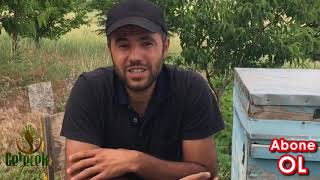 Ari Kovani Havasi - Muci̇ze Bi̇r Buluş...