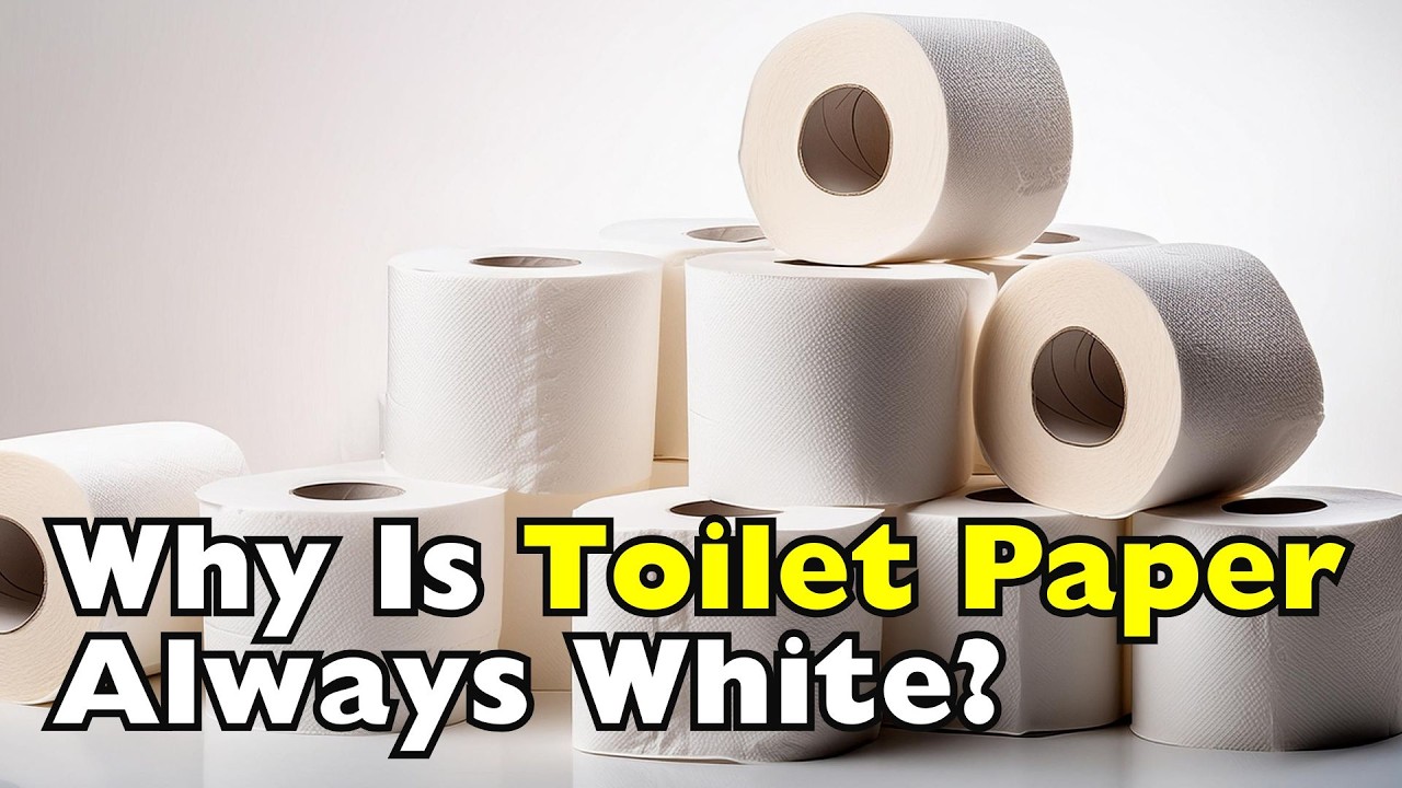 Почему большая часть туалетной бумаги белая? Удивительное объяснение причины [ID0931]