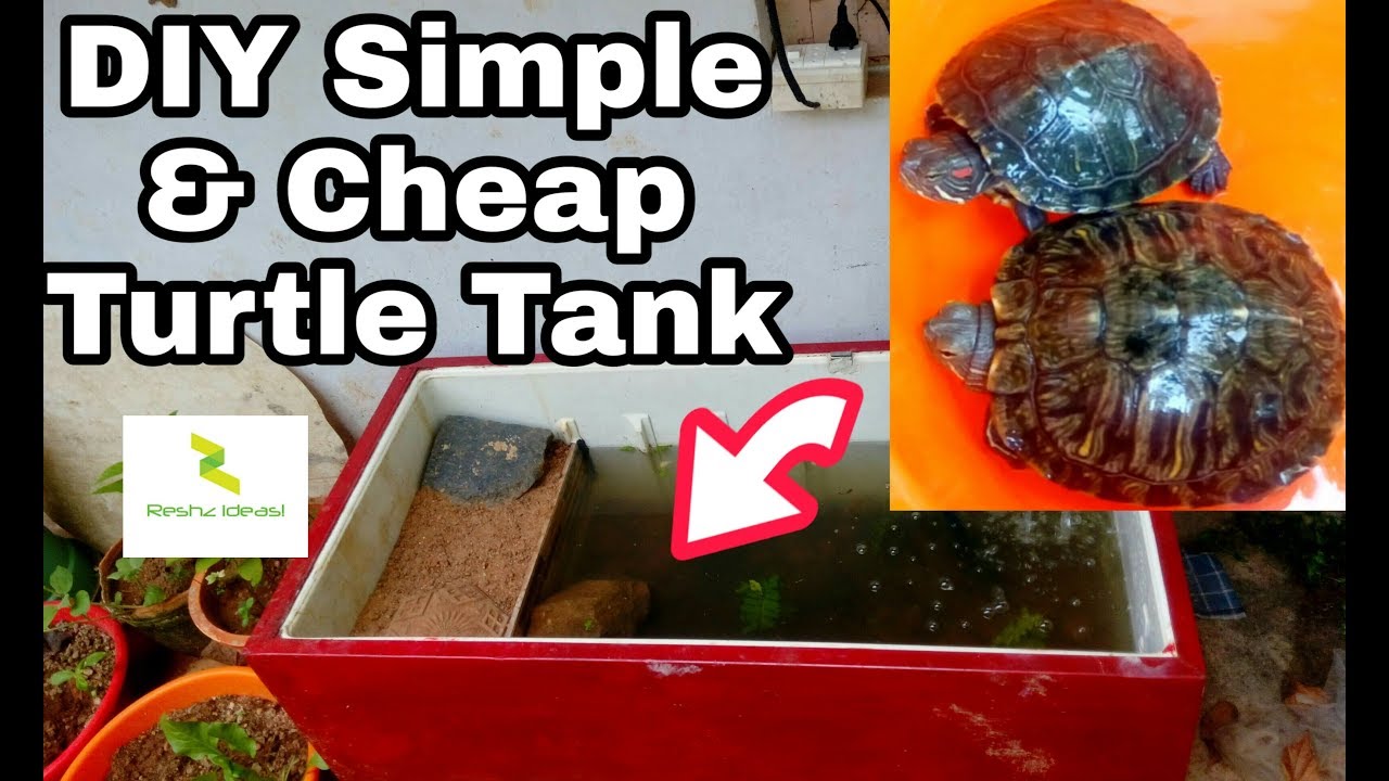 Simple and Cheap Turtle Tank DIY, HOW TO SET UP TURTLE TANK