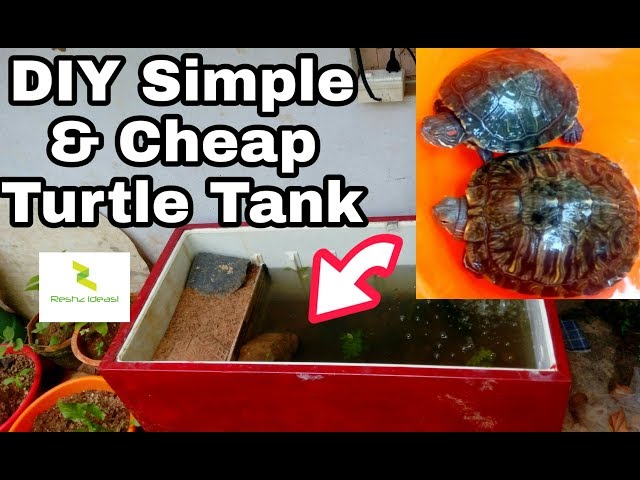 Simple and Cheap Turtle Tank DIY