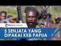 Tantang Aparat, Ternyata KKB Papua Pakai 5 Senjata Mematikan Termasuk Senapan Canggih Buatan Austria