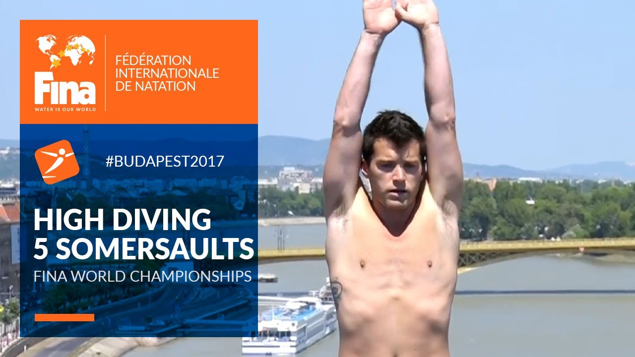 Steve Lobue's Gold with 5 Somersaults | Budapest 2017 | FINA World Championships