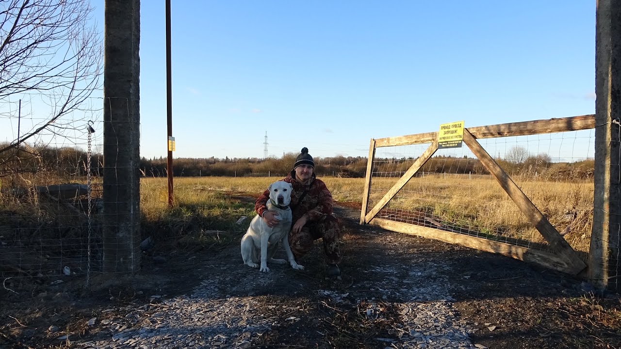 Установили забор из шарнирной сетки .Работа мульчера. ФерМа с нуля №38 ...