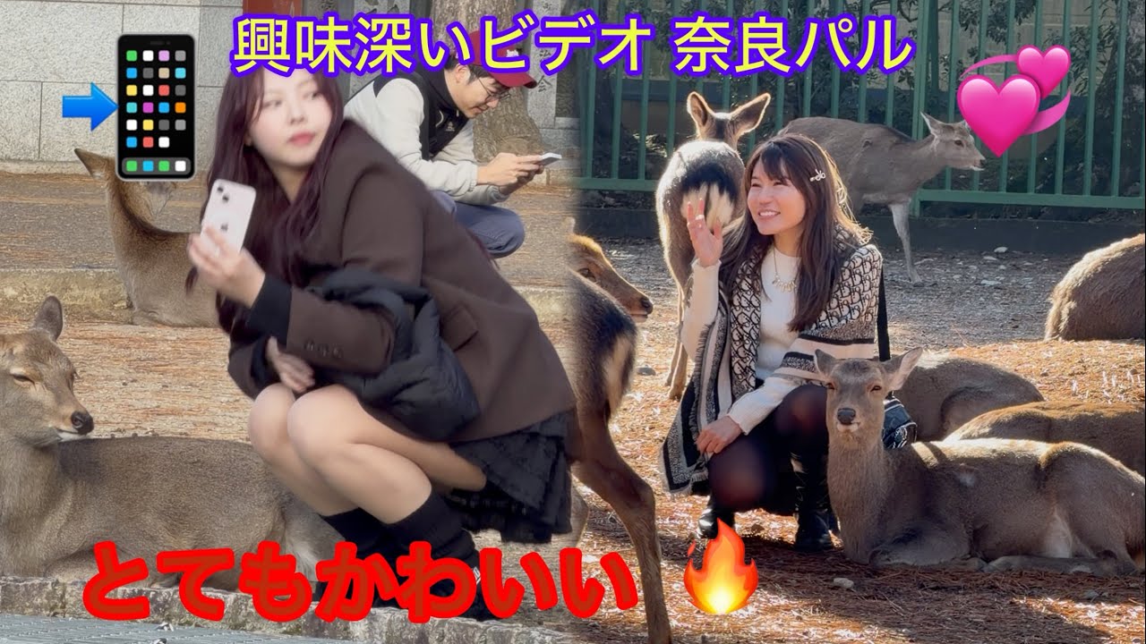 奈良でフレンドリーな鹿に囲まれた美しい女の子 🦌🇯🇵 | キュートで魔法のような公園のひととき奈良公園で鹿に囲まれる可愛い瞬間🦌✨
