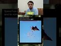 world fastest bird Falcon #informative #information #falcon #eagle #birds #usa #america