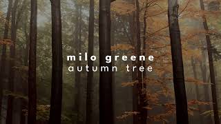 milo greene - autumn tree [slowed + reverb]