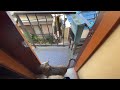 一人暮らしの男の家に猫が２匹同時に来た。２／２