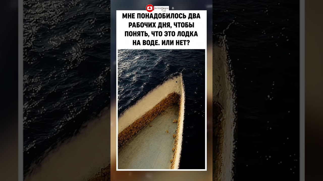 #анекдоты#юмор#шуточное#прикол#мем#смешновидео#memes#shorts#жиза#ржачныевидео#смехпродлеваетжизнь
