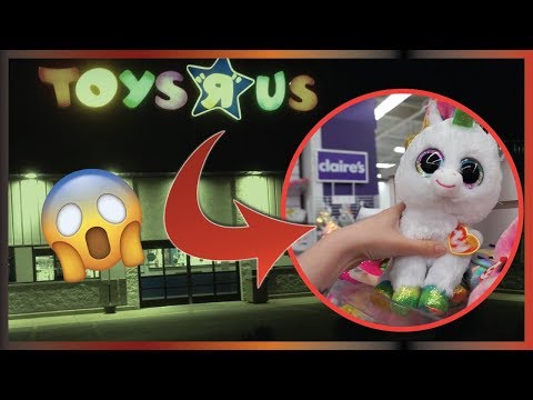 Investigating The Secret Toys R Us!