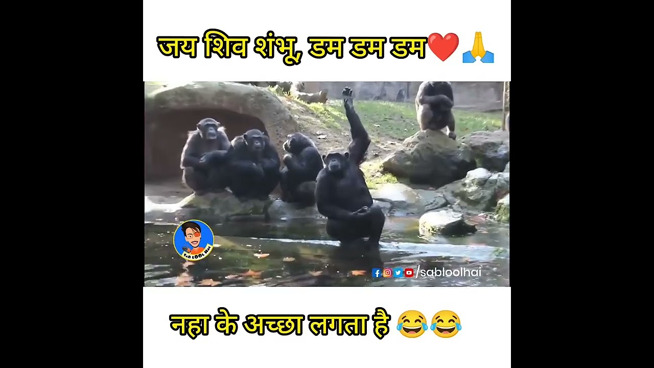 Jay Shiv Sambhu Shivratri || Sab LOol Hai || Funny Magahi Dubbing