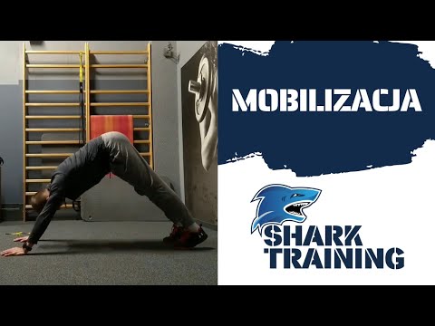 Shark Training -