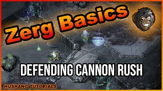 How To Defend Cannon Rush | Starcraft 2 Zerg Guide (2022)