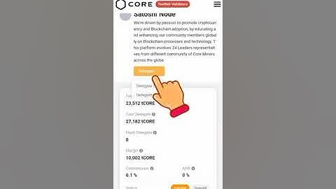 HOW TO DELEGATE ON #SATOSHI #CORE  TESTNET