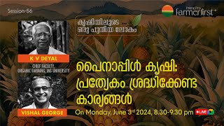 പൈനാപ്പിൾ കൃഷി: പ്രത്യേകം ശ്രദ്ധിക്കേണ്ട കാര്യങ്ങൾ