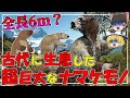 【南アメリカの哺乳類～異節目～】6mのナマケモノ？水中に生息したナマケモノ？巨大アルマジログリプトドンとは