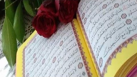 عشر ساعات # قران الكريم#بدون حقوق الطبع