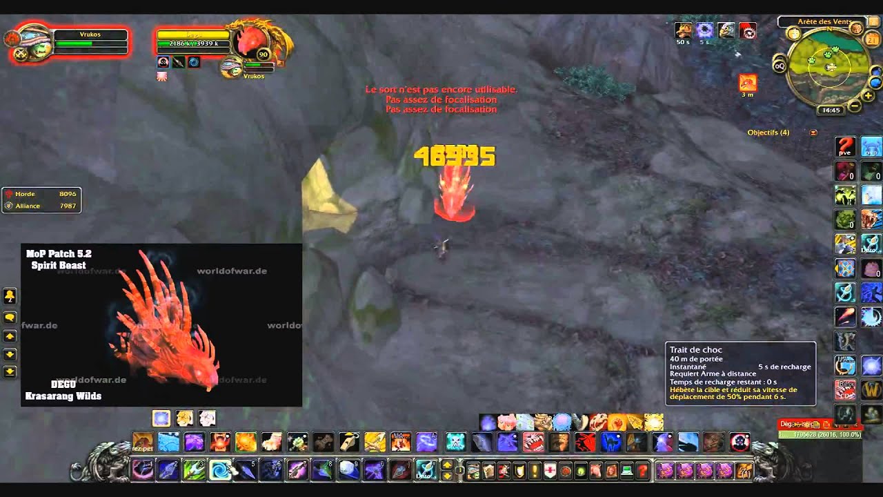 Domptage Degu wow [1080p] - YouTube
