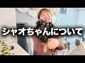 シャオちゃんについて改めてお話しするね