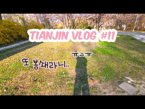 또 봉쇄라니!!｜천진 봄 일상｜시대오성｜수상공원｜천진(톈진) 브이로그