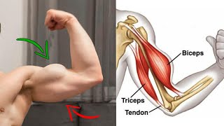 اقوى تمارين تضخيم الذراع ( عضلة باي و تراي ) arm day triceps and biceps ??