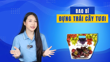 Bao Bì Đựng Trái Cây Tươi Giá Xưởng – Tiết Kiệm Chi Phí Sản Xuất | Vinpack