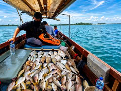 🦈 🔥 BERDERIK! Strike Hiu Spot Nongsa | Setelah Hujan Panen Ikan Putih pun Tiba!