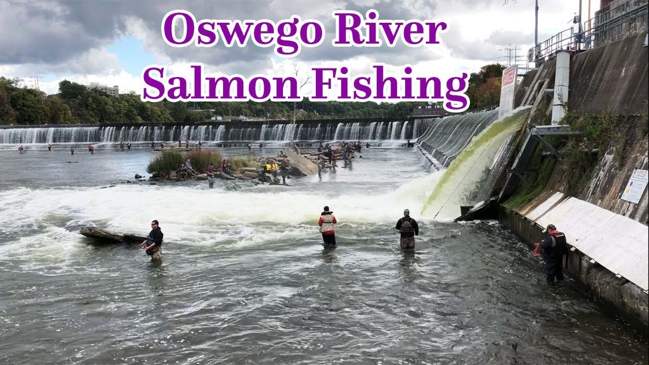 Oswego River Salmon Fishing NY 2018 Part 2 Fishingct Amusing