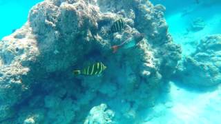 BlueLagoon pt 1