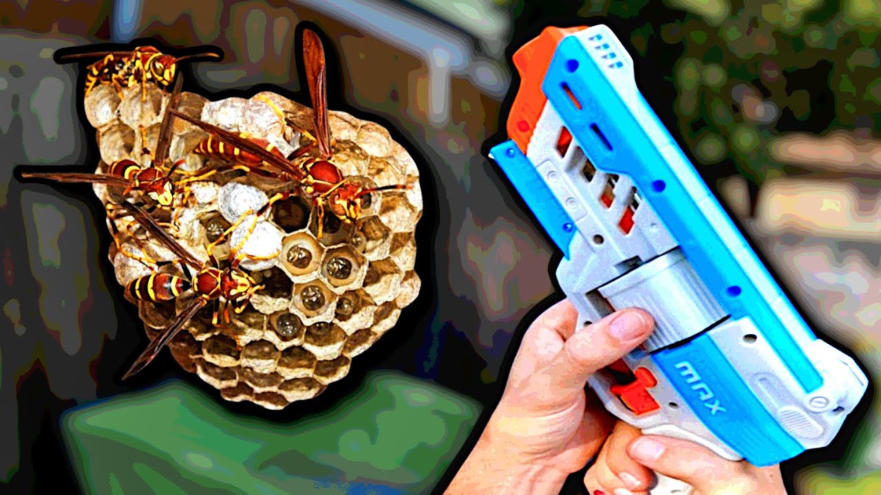 NERF GUN vs WASP NEST