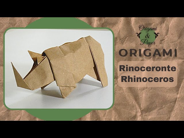 洋楽 Black Rhino / Paper Route Rhino (1964) | Amazon.com.br