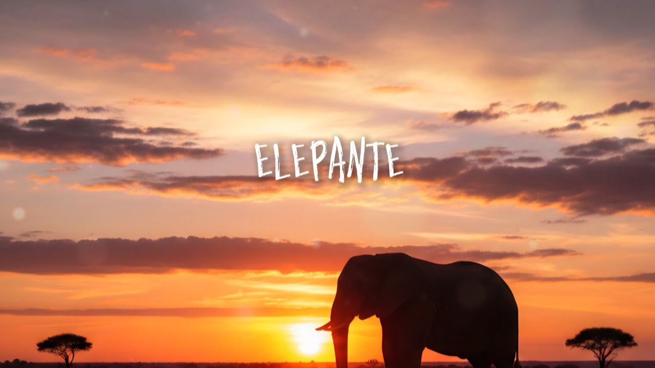 ELEPANTE - Official Lyrics [Orkha Music]