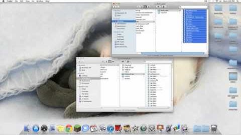 How to Install X-Ray 1.7.3