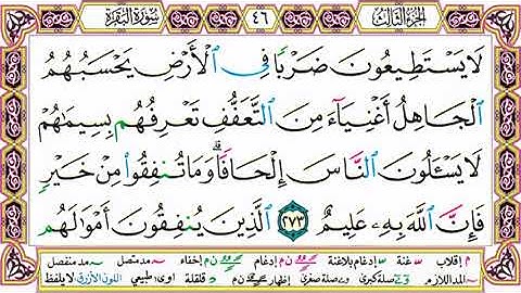القرآن الكريم مقسم إلى أجزاء ｜ الجزء 3 مكتوب ｜ مقسم صفحات ｜ الشيخ حاتم فريد ｜ مصحف التجويد الملون