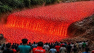Most Incredible Nature Moments Ever Caught on Camera
