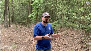 Preserved Civil War Earthworks in Bentonville, North Carolina