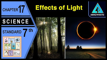 Effects of Light | Std 7 | Science | Ch.17 | Maharashtra Board