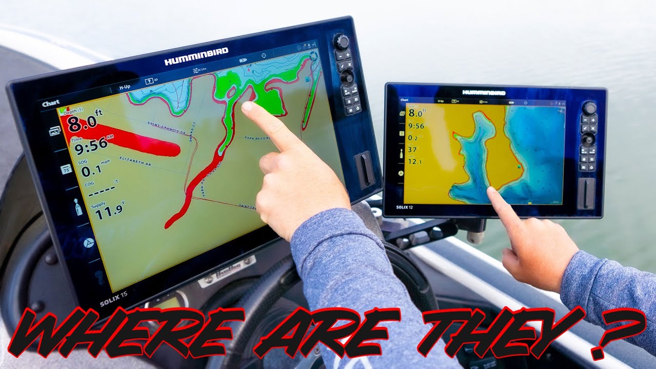 Where Do Bass Go In Spring? (And How To Catch Them In The Prespawn