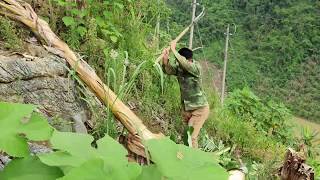 Ntov Tsawb Pov Tseg 5 Hlis 12 2020